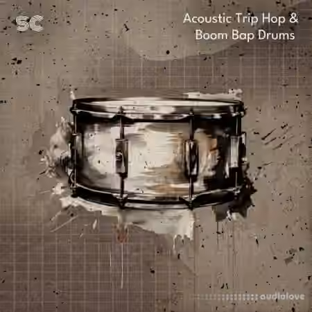 Sonic Collective Acoustic Trip Hop and Boom Bap Drums [WAV]