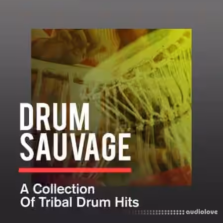 Sonicycle Sonicycle - Drum Sauvage - A Collection Of Tribal Drum Hits [WAV]