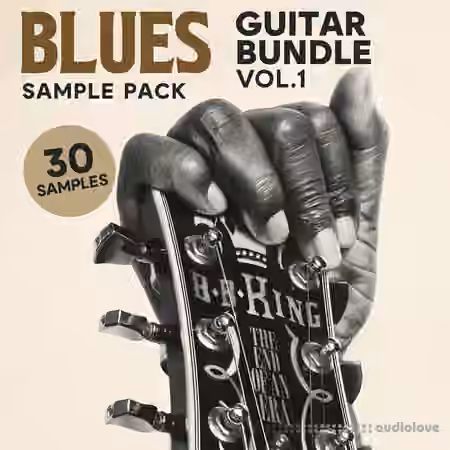 Soul Chemist Blues Guitar Bundle Vol.1 [WAV]