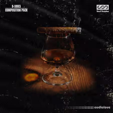 Soul Surplus B-Sides (Compositions and Stems) [WAV] - Sample Pack Artwork