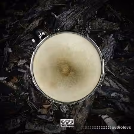 Soul Surplus Kadence [WAV, Synth Presets]