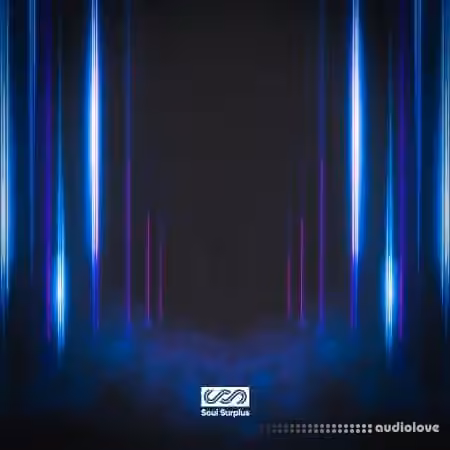 Soul Surplus Neon Lights Modern RnB [WAV]