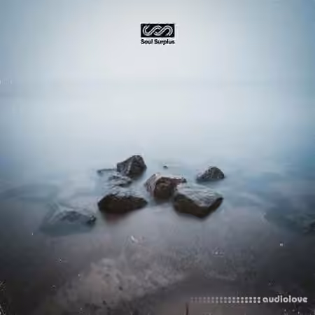 Soul Surplus Stepping Stones [WAV]