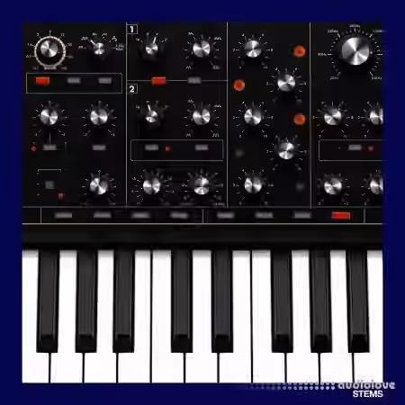 Soul Surplus Synth Pack Vol.2 (Compositions And Stems) [WAV]