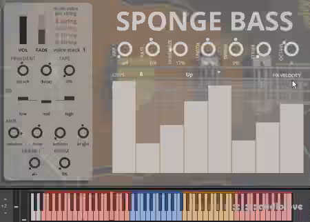 Sound Dust Sponge Bass [KONTAKT]