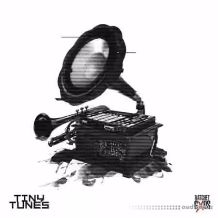 Sound Junkie Bouncegxd Tiny Tunes [WAV]