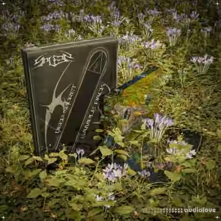 SPLEEN Deep Secret Sample Pack [WAV, MiDi, Synth Presets]