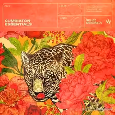 Splice Originals Cumbiaton Essentials [WAV]