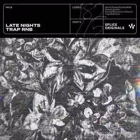 Splice Originals Late Nights: Trap RnB [WAV, Synth Presets]