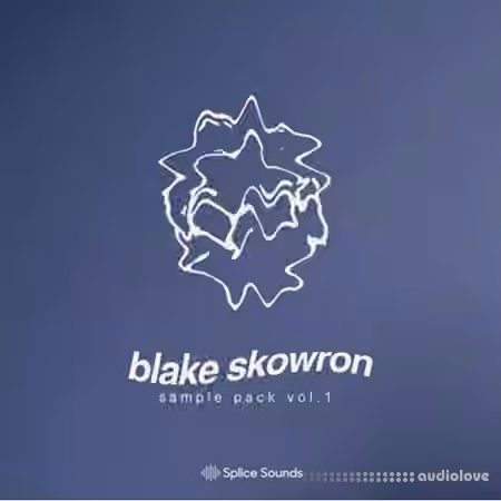 Splice Sounds Blake Skowron Sample Pack [WAV]