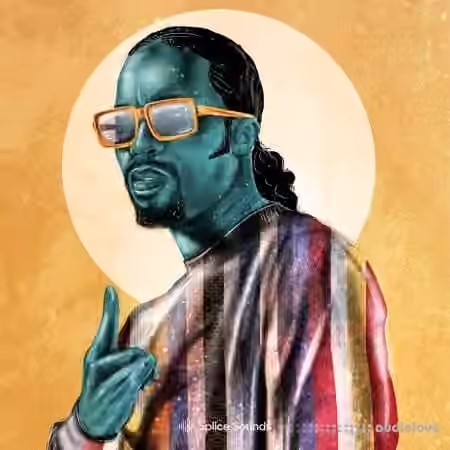 Splice Sounds D─üM-FunK: Modern-Funk Sample Pack [WAV, Synth Presets]