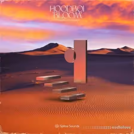 Splice Sounds Hoodboi Bloom Volume 1 [WAV, MiDi]
