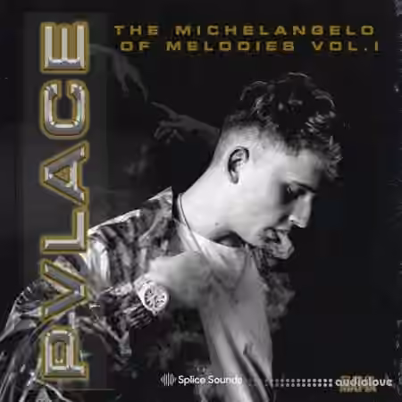 Splice Sounds Pvlace Michelangelo of Melodies Vol.1 [WAV]