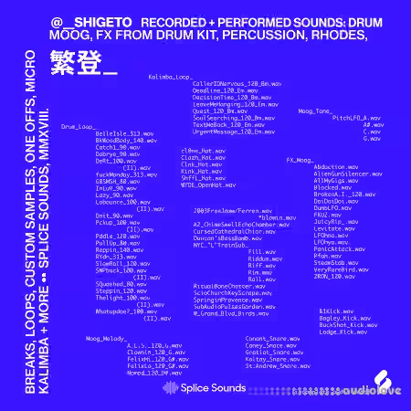 Splice Sounds Shigeto Sample Pack [WAV]