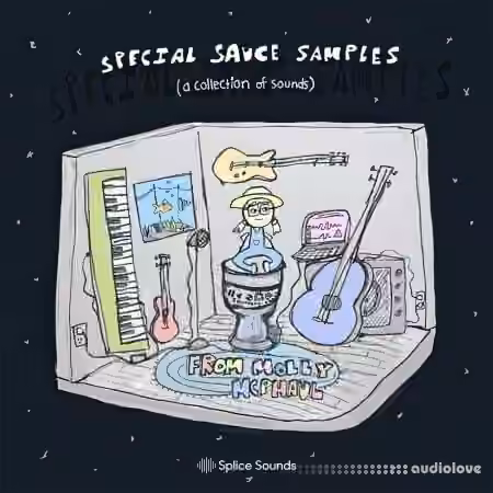 Splice Sounds Special Sauce Samples from Molly McPhaul [WAV]