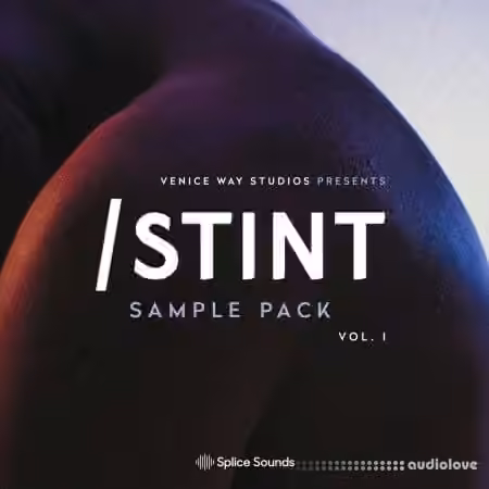 Splice Sounds Venice Way Studios Presents STINT Sample Pack [WAV]