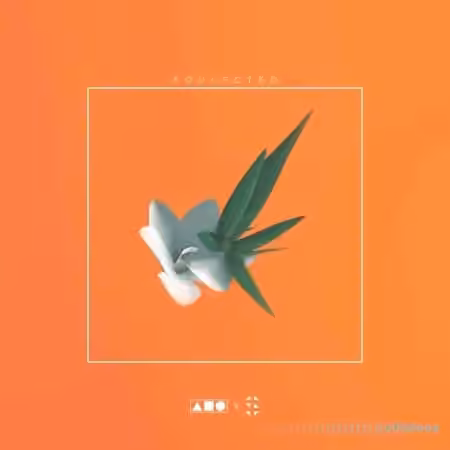 Squadpack x Samplified Soulected [WAV, MiDi]