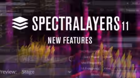 Steinberg SpectraLayers Pro 11 v11.0.30 Incl V.R Unlocker [WiN]