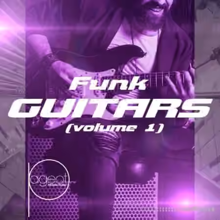 Steve Pageot Funk Guitars Volume 1 [WAV]