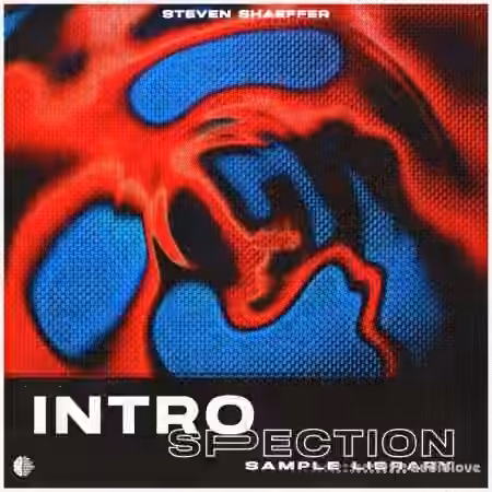 Steven Shaeffer INTROSPECTION (Sample Library) [WAV]