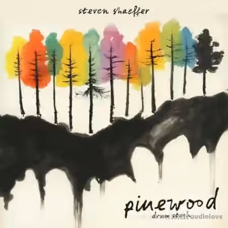 Steven Shaeffer Pinewood Drum Stash [WAV] - Sample Pack Artwork