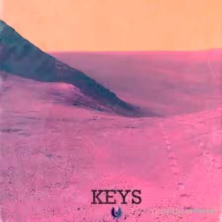 Strangesol Music Strange Keys [WAV]