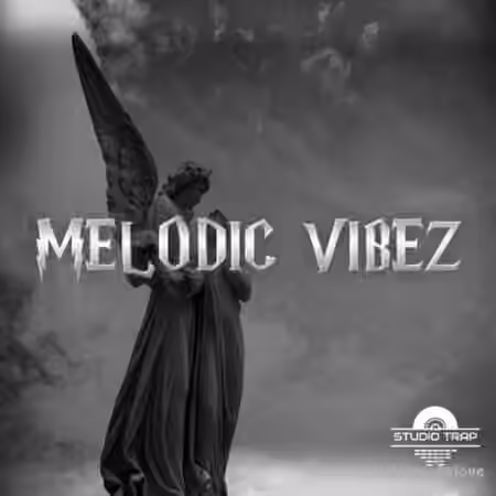 Studio Trap MELODIC VIBEZ [WAV]