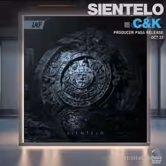 Surgical Sounds Sientelo Recreation Kit [WAV, MiDi, Synth Presets]