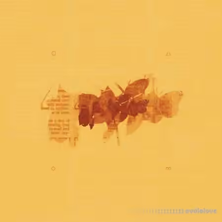tesnow  evolus mutare vias [WAV]