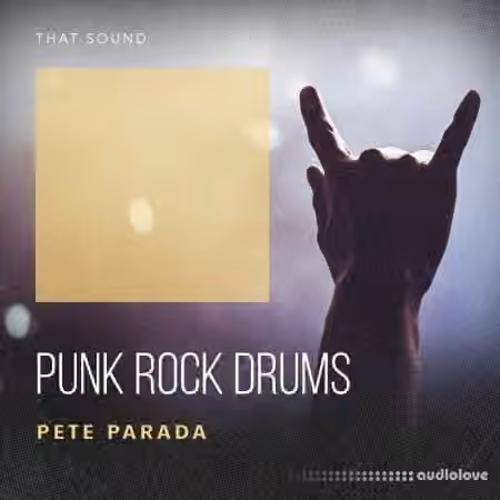 That Sound Punk Rock Drums [WAV]