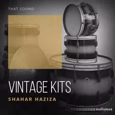 That Sound Vintage Kits [WAV]