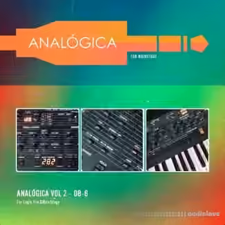 That Worship Sound Anal├│gica Vol.2 OB-6 [Synth Presets]