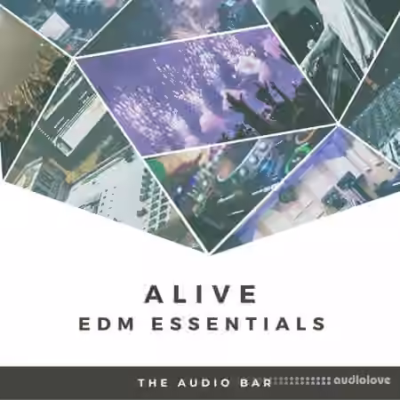 The Audio Bar Alive EDM Essentials [WAV]