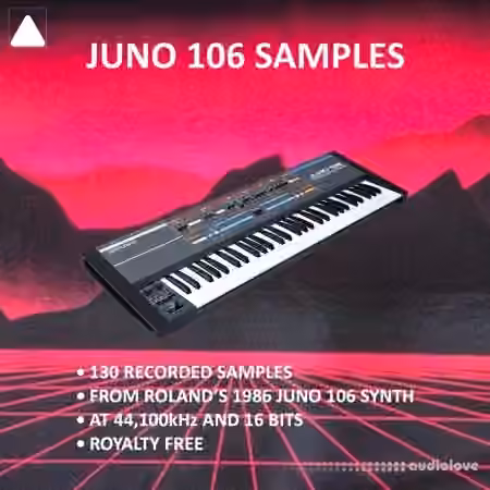 The Audio Bar Juno 106 Samples [WAV, Synth Presets]