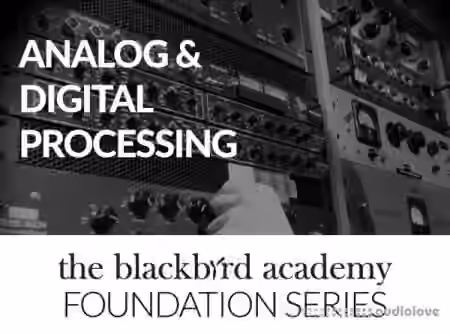 The Blackbird Academy Analog and Digital Processing [TUTORiAL]