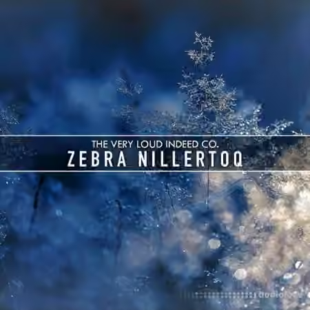 The Very Loud Indeed Co. Zebra Nillertoq [Synth Presets]