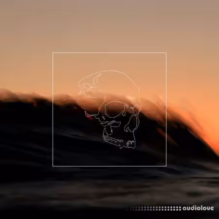 The vowl. Sample Pack 1 [WAV]