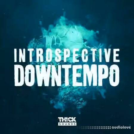THICK Sounds Introspective Downtempo [WAV] - Sample Pack Artwork