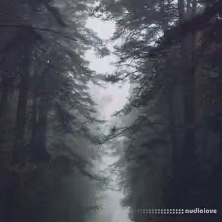 Tontario Second Nature [WAV]