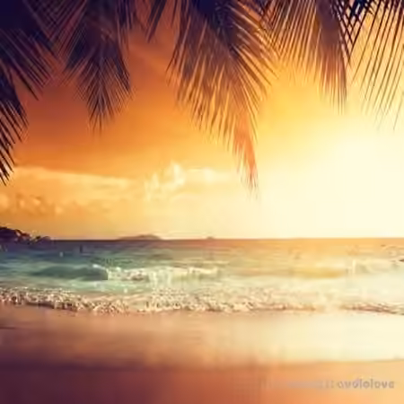 Tony Warrior Tropical Cheers [WAV]