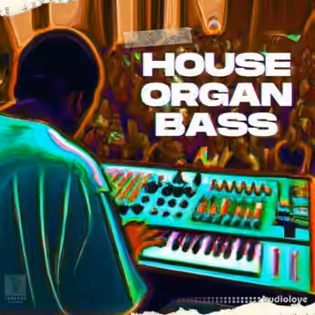 Toolbox Samples House Organ Bass [WAV]