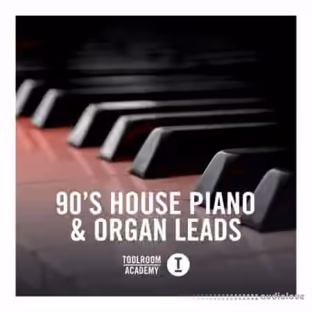 Toolroom 90's House Piano and Organ Leads [WAV]