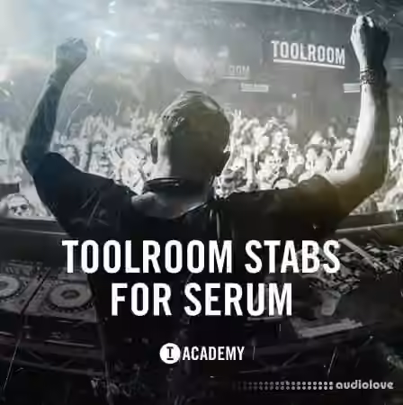 Toolroom Stabs For Serum [Synth Presets]