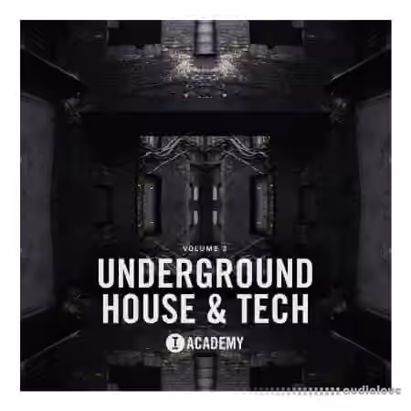 Toolroom Underground House and Tech Vol.3 [WAV]