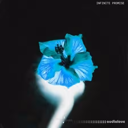 Touch Loops Infinite Promise [WAV] - Sample Pack Artwork