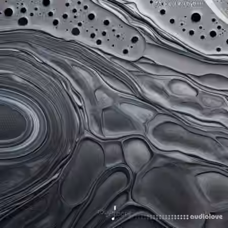 Touch Loops Molecular Rhythms [WAV]