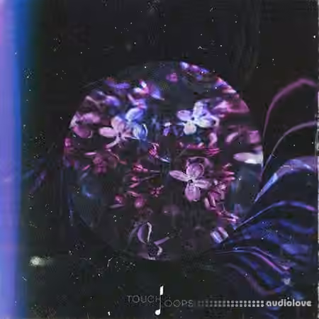 Touch Loops Organic House [WAV, MiDi]