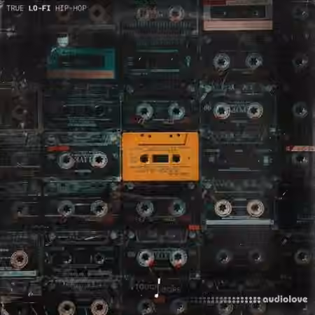 Touch Loops True Lo-Fi Hip Hop [WAV]