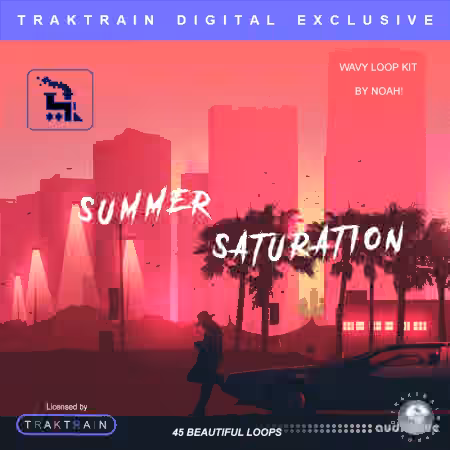 TrakTrain Summer Saturation Kit by Kazoo [WAV]