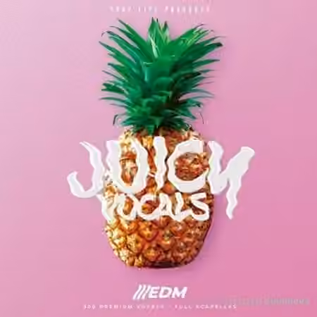 Trap Life Juicy Vocals [WAV]
